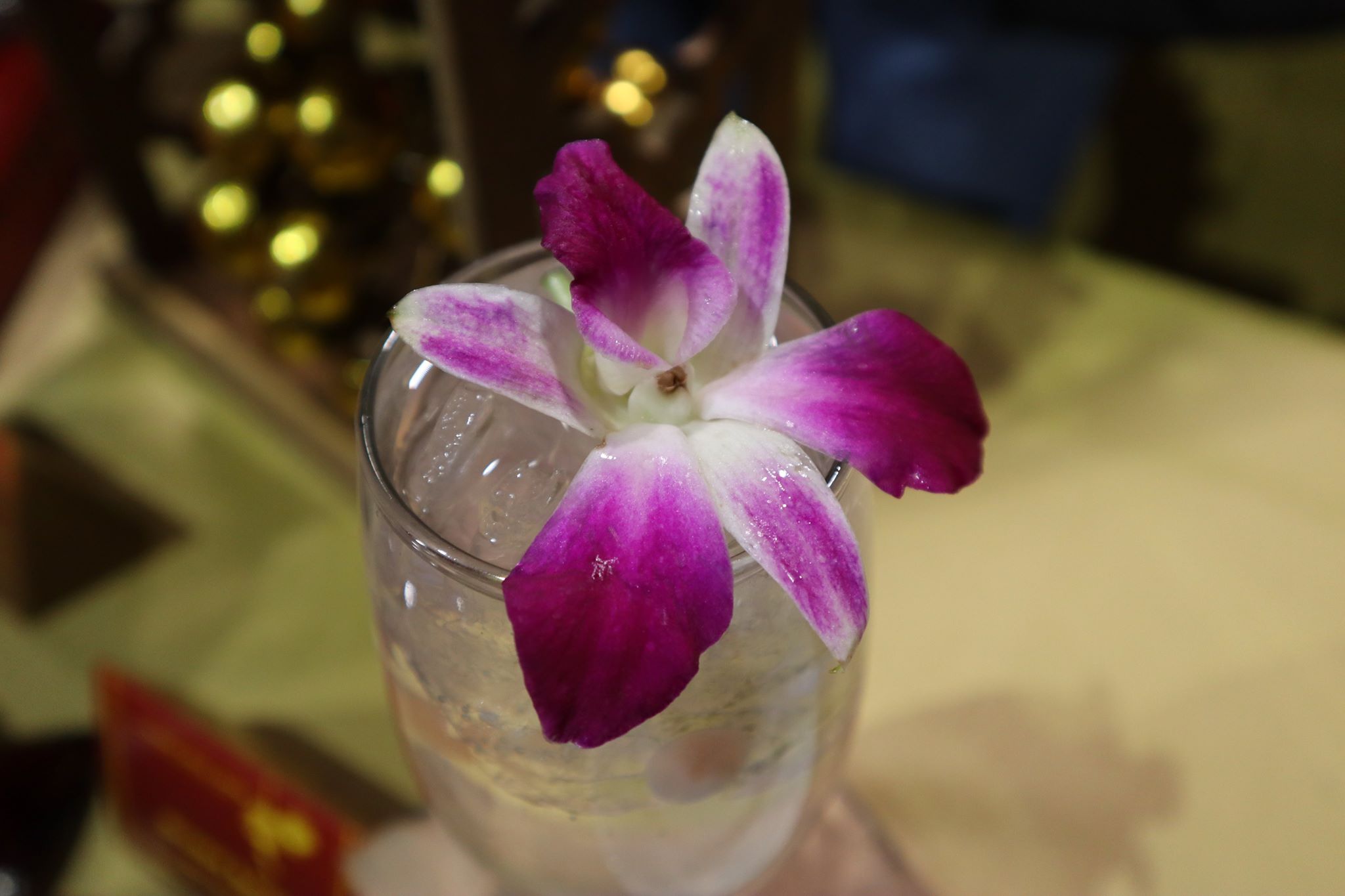Orchid Spritz