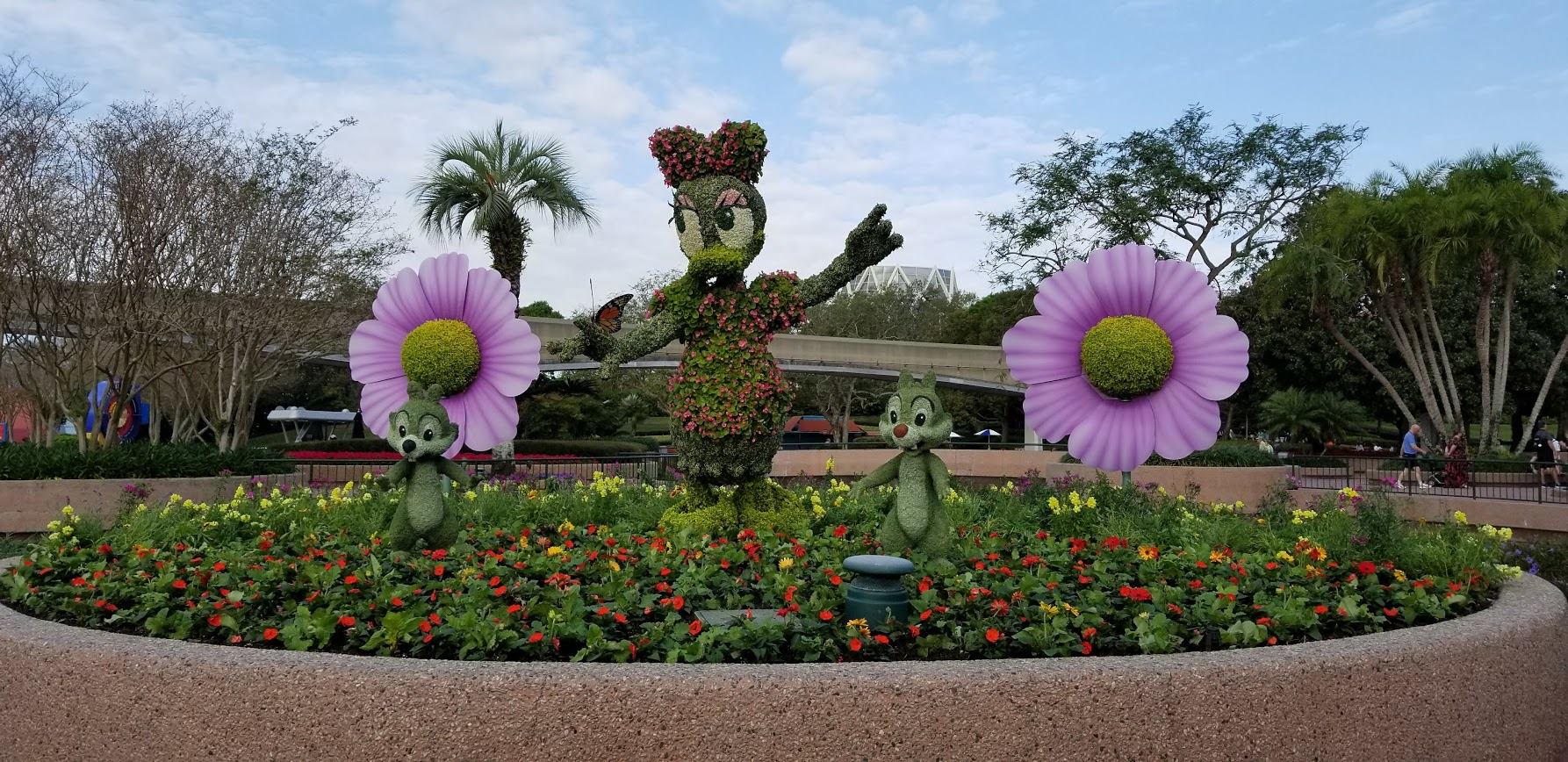 daisyfg