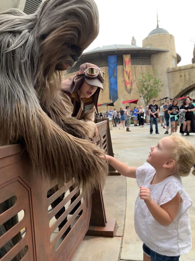 chewbacca 3