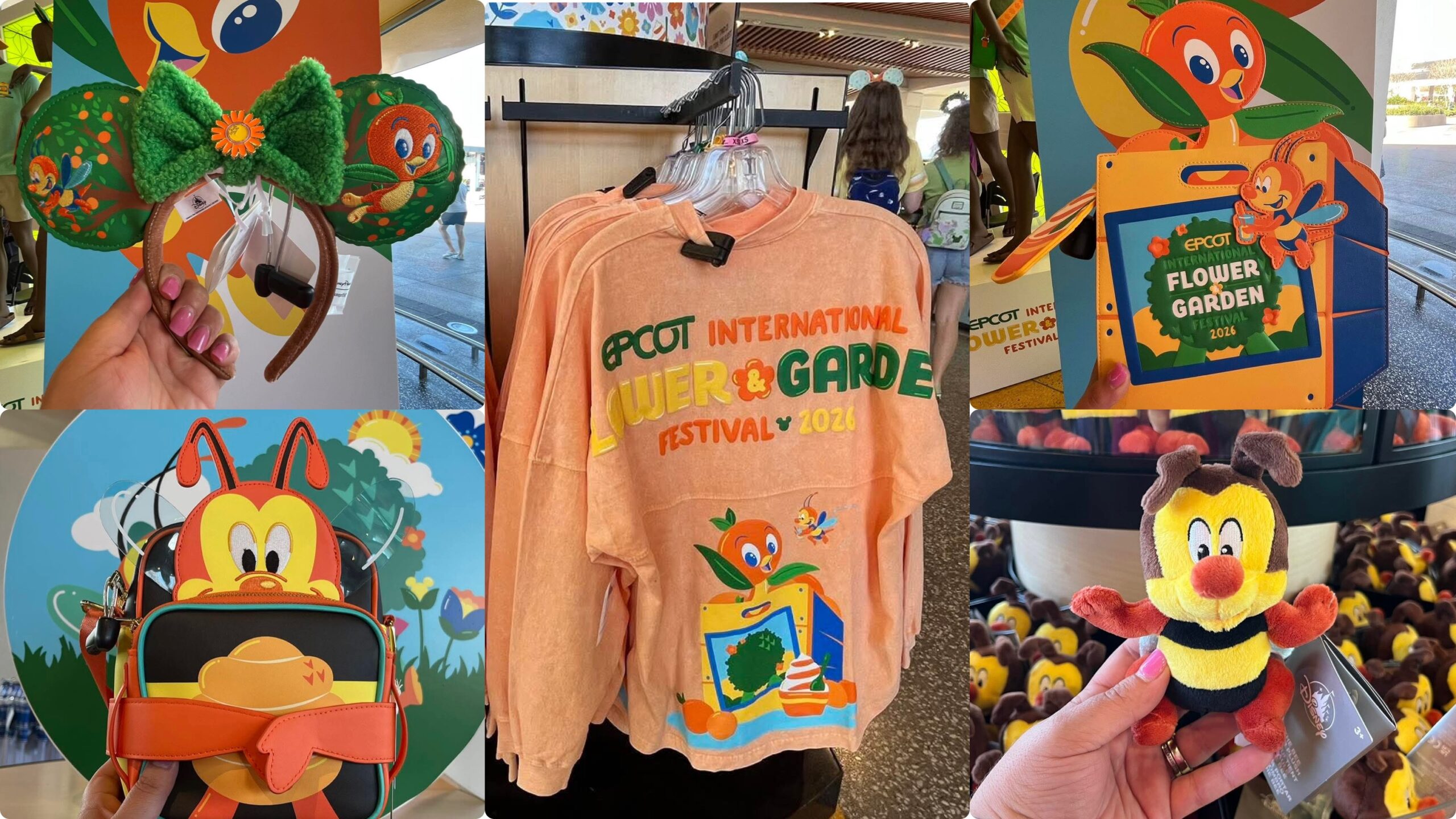 New Orange Bird and Spike the Bee Collections at Flower and  display picture 2