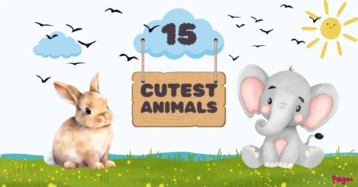 cutest animals in the world - 15 cutest animals , cute rabbit and elephant sitting on grass , landscape clipart