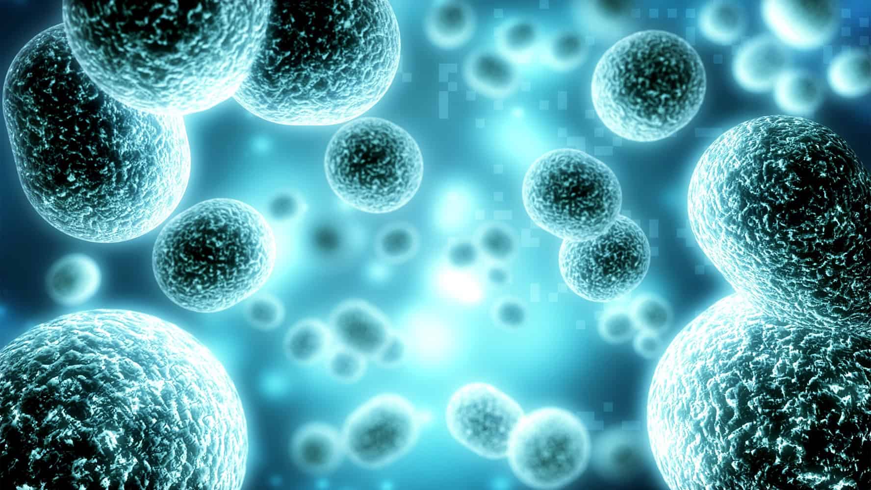 High-resolution image of microscopic bacteria and viruses, emphasizing biocidal effects for health.