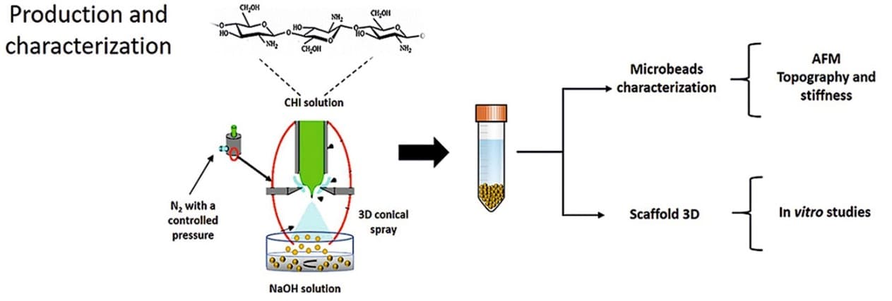 High-quality ChitoLytic enzyme solution.