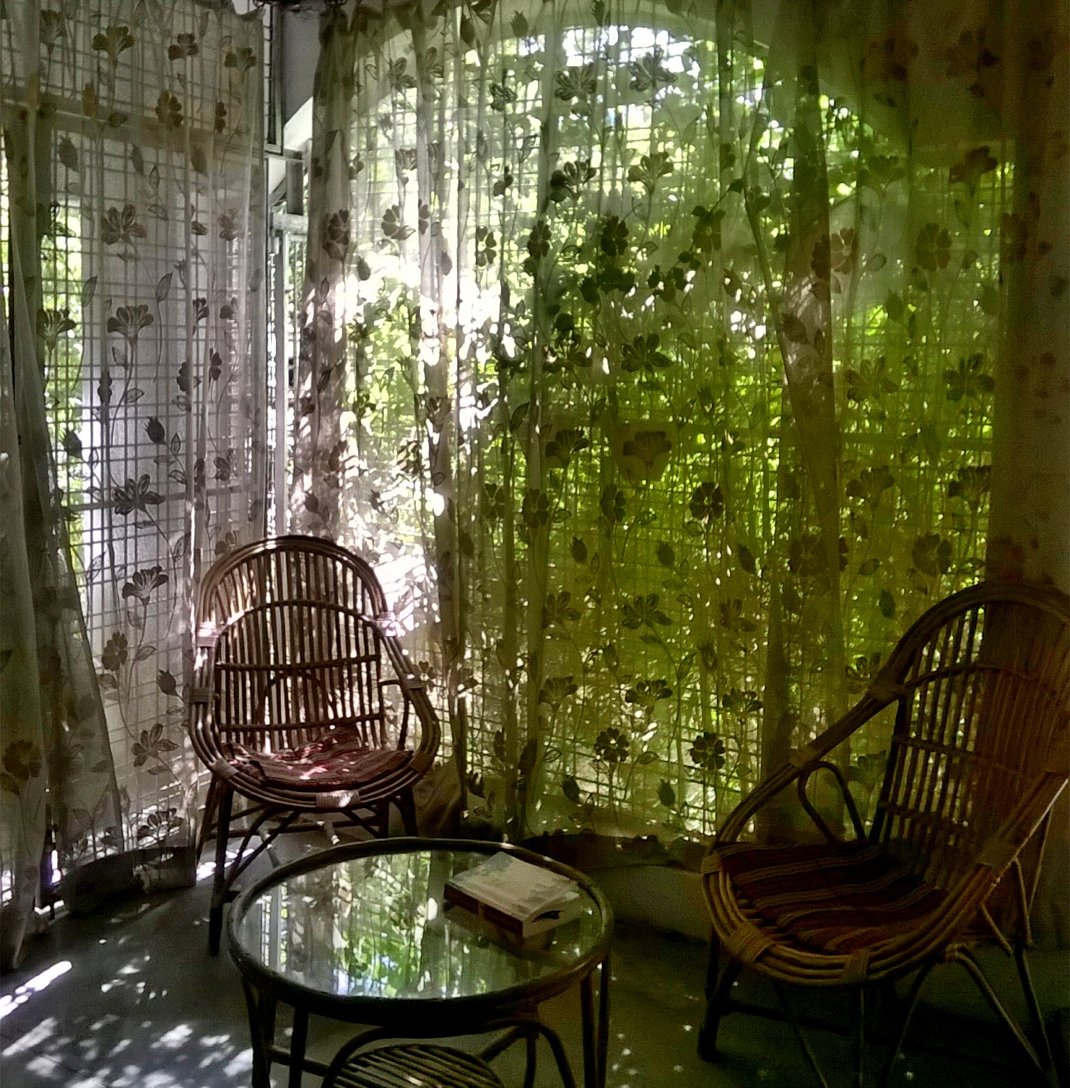 a pre-autumn late morning in my verandah