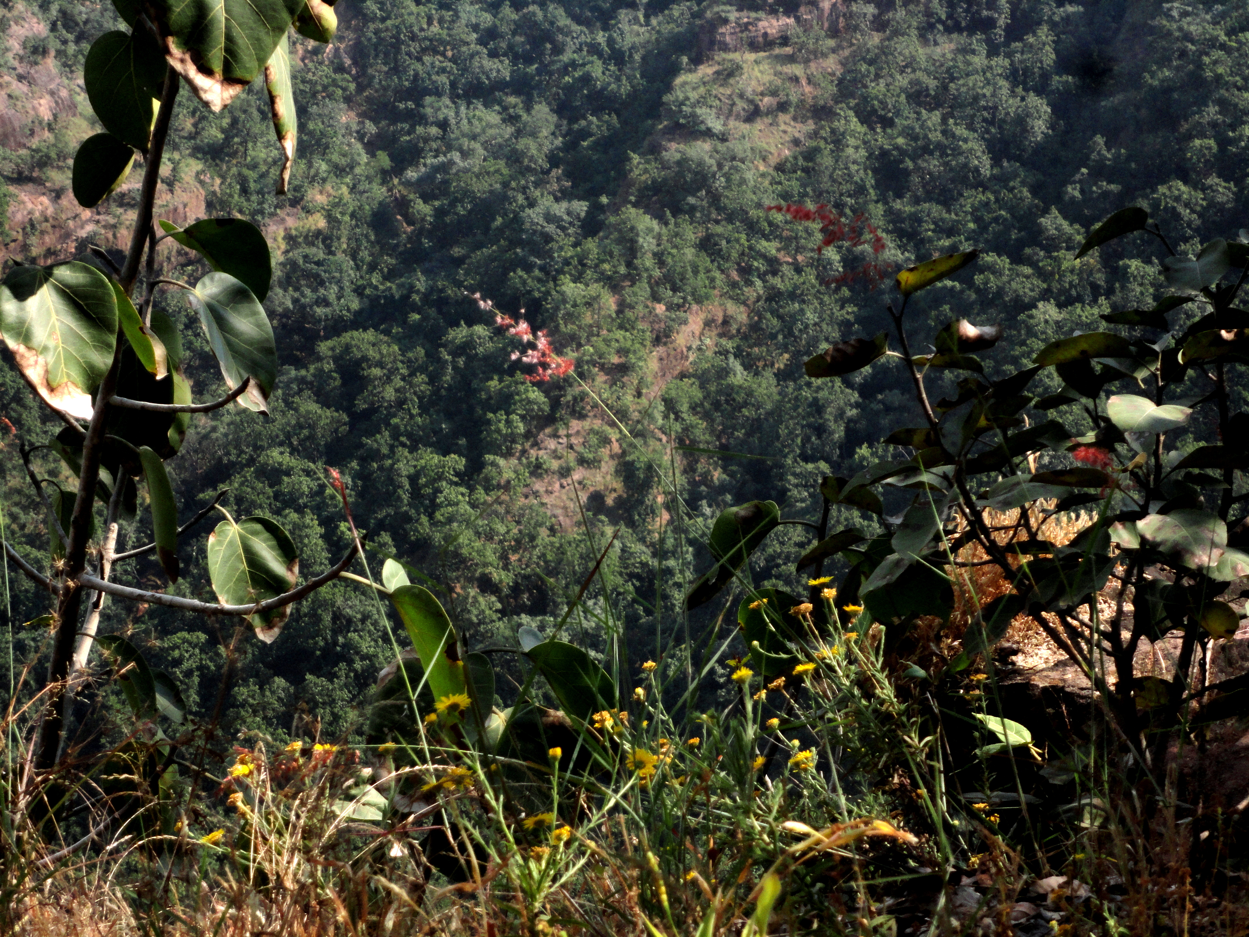 PRIYADARSHINI POINT