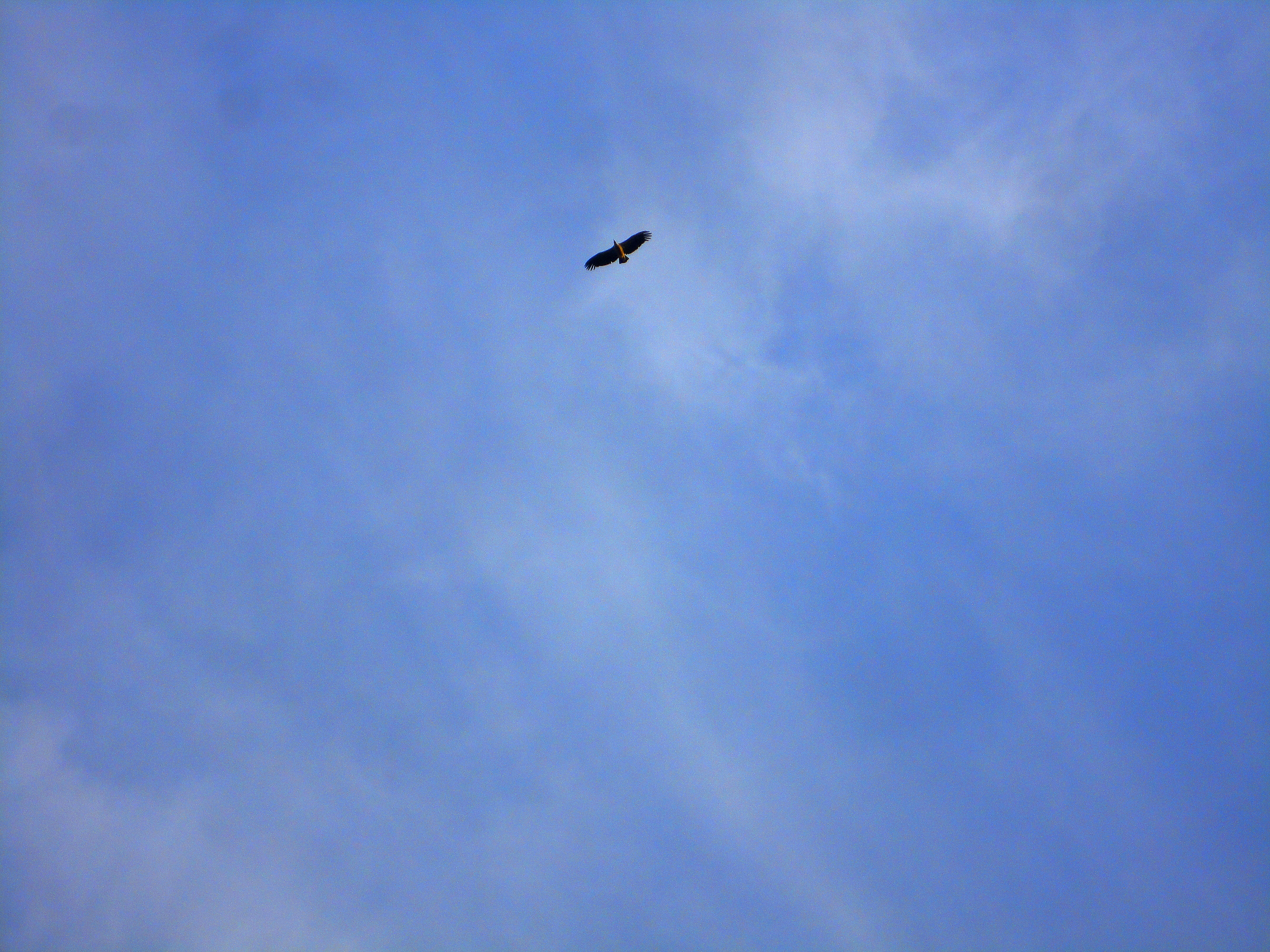 New Image.jpg11