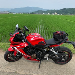 秩父の緑あふれる田んぼにてwith CBR650R