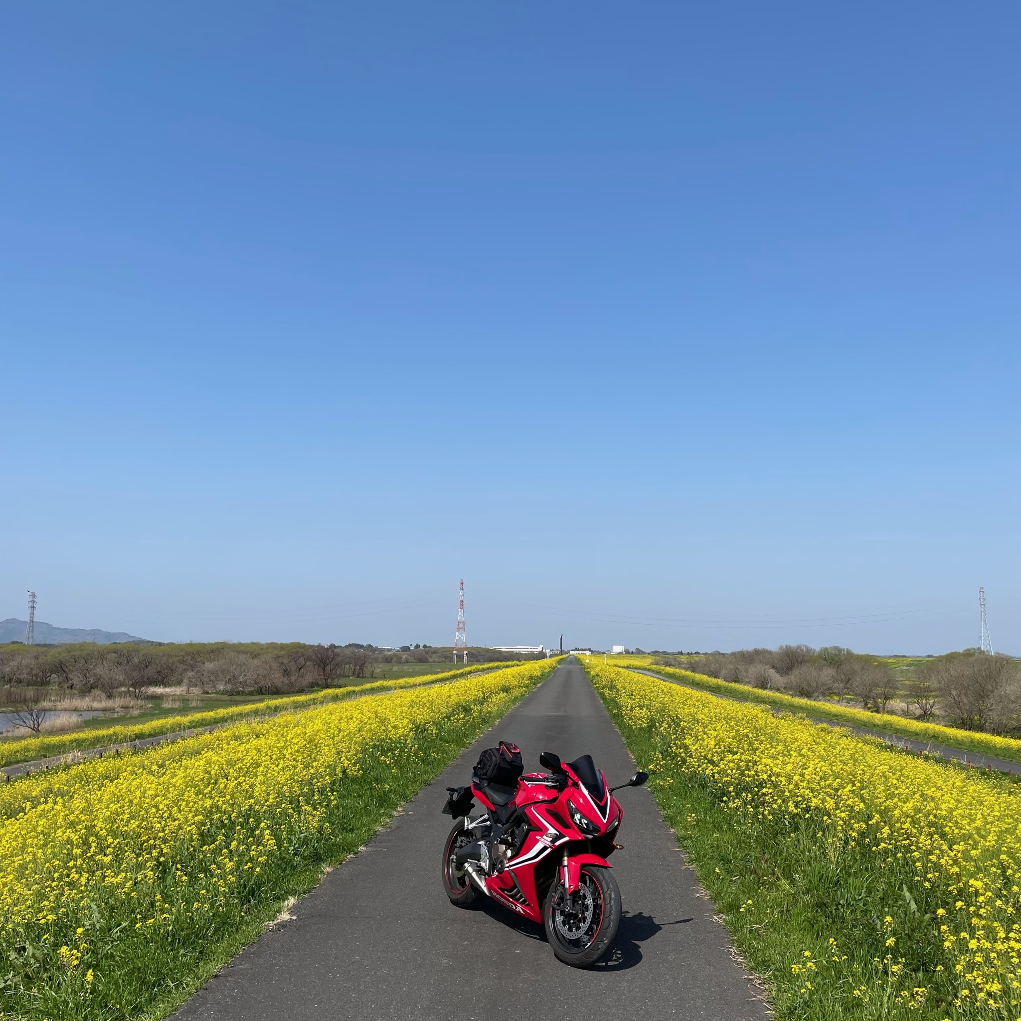 春風景堪能ツーリング／館林～佐野～渡良瀬遊水地〈ﾊﾞｲｸﾂｰﾘﾝｸﾞ