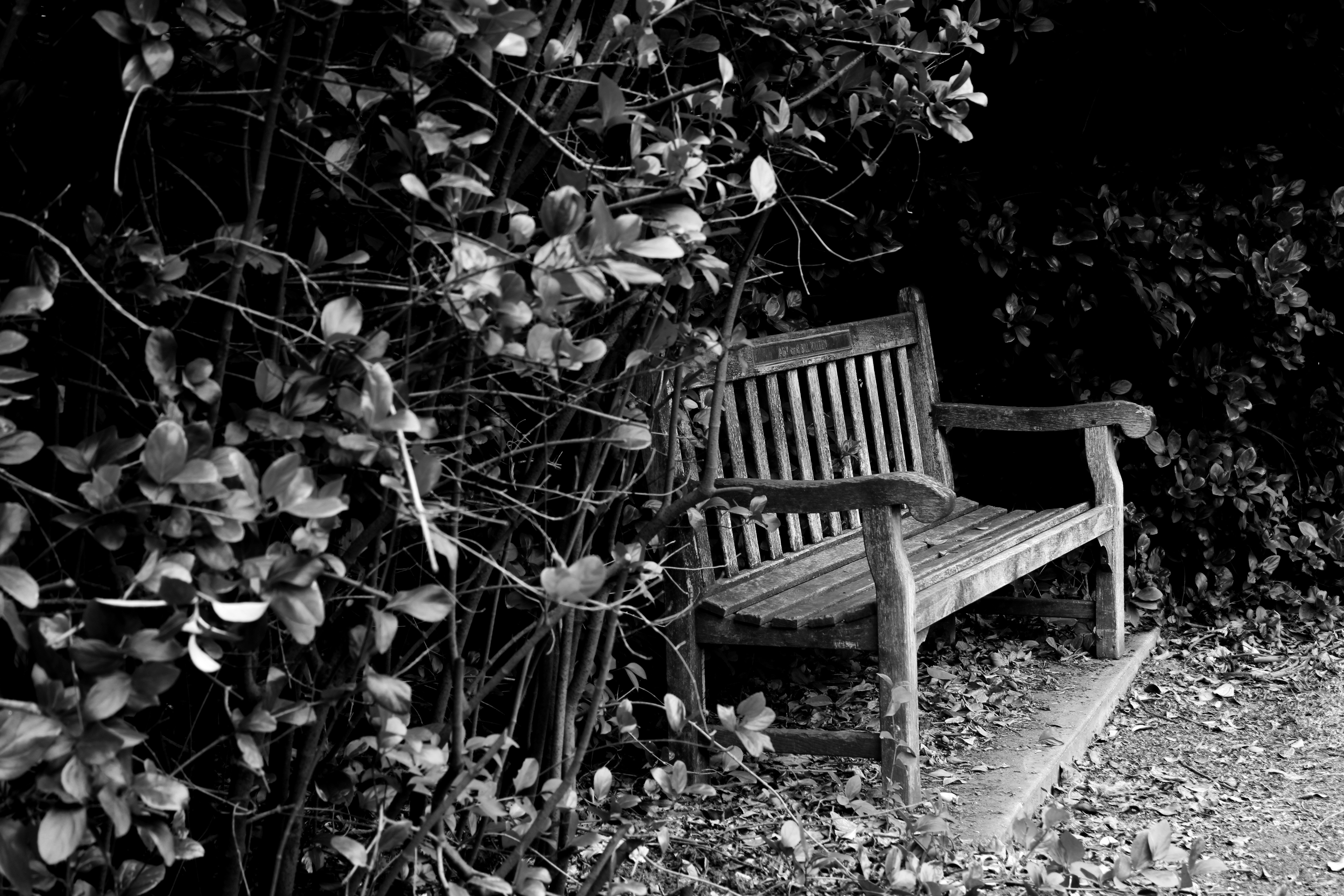 Bete Noir Magazine Issue #65 "Join Me"