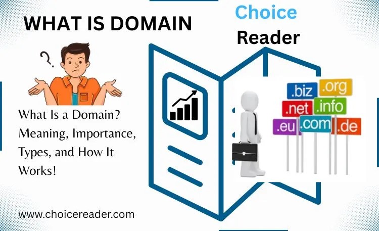 What is domain banner by choicereader.com highlighting the domain definition, important, types and working process.