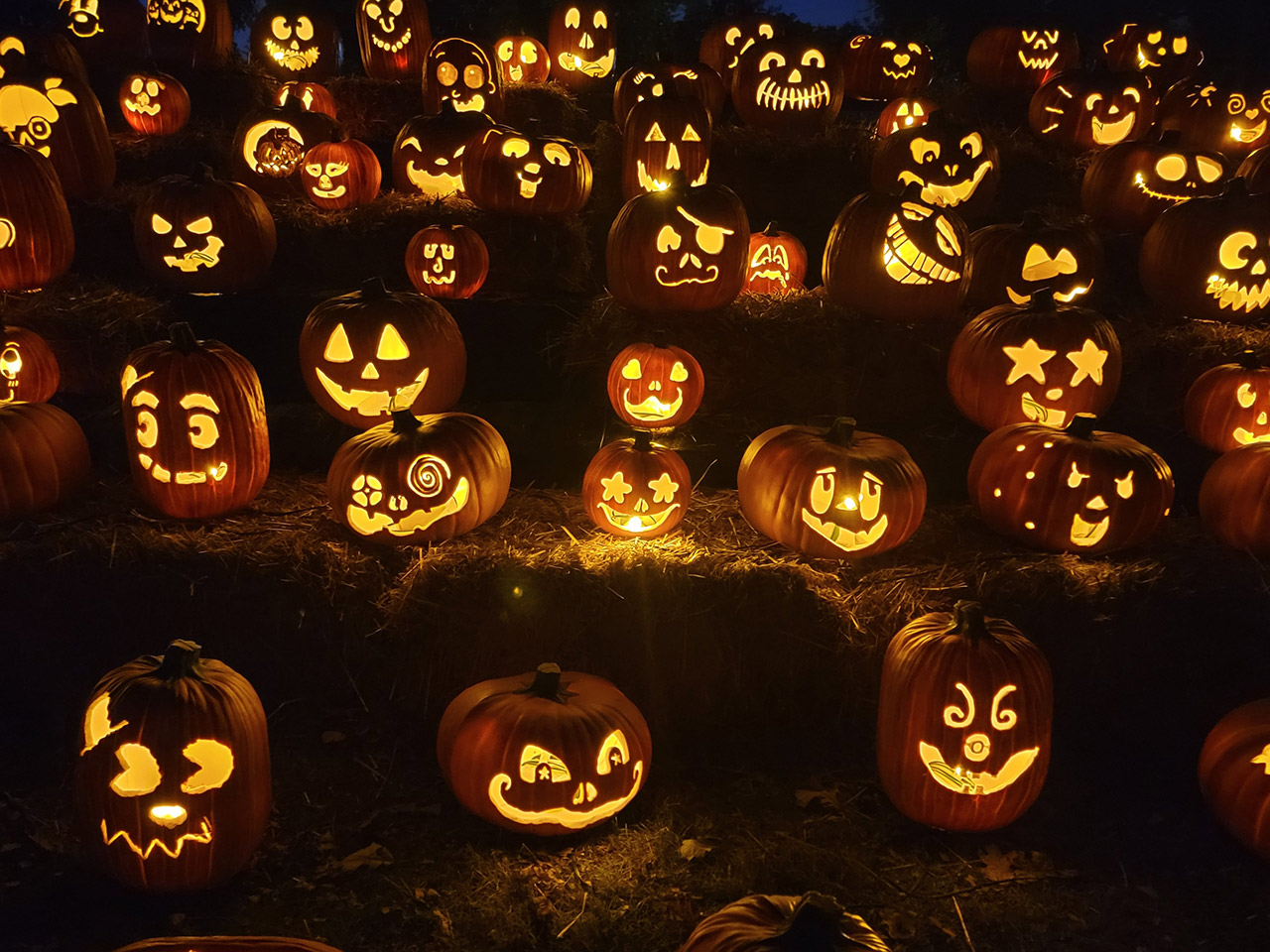 Jack o' lantern world at shelby farms park