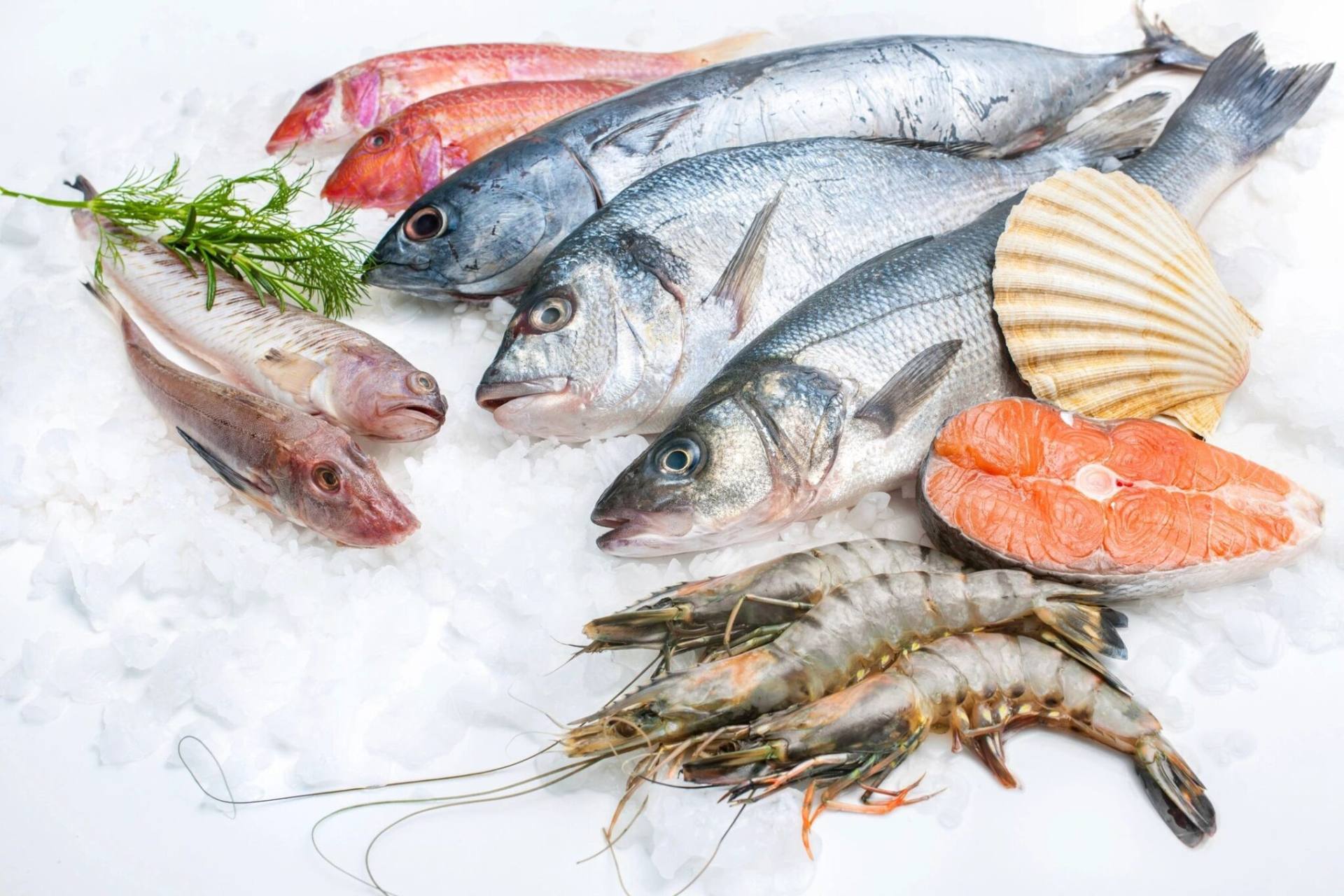 Fish and seafood