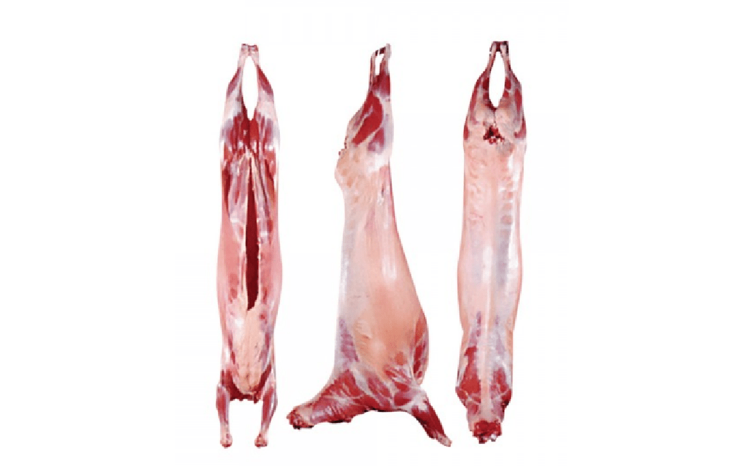 Lamb meat