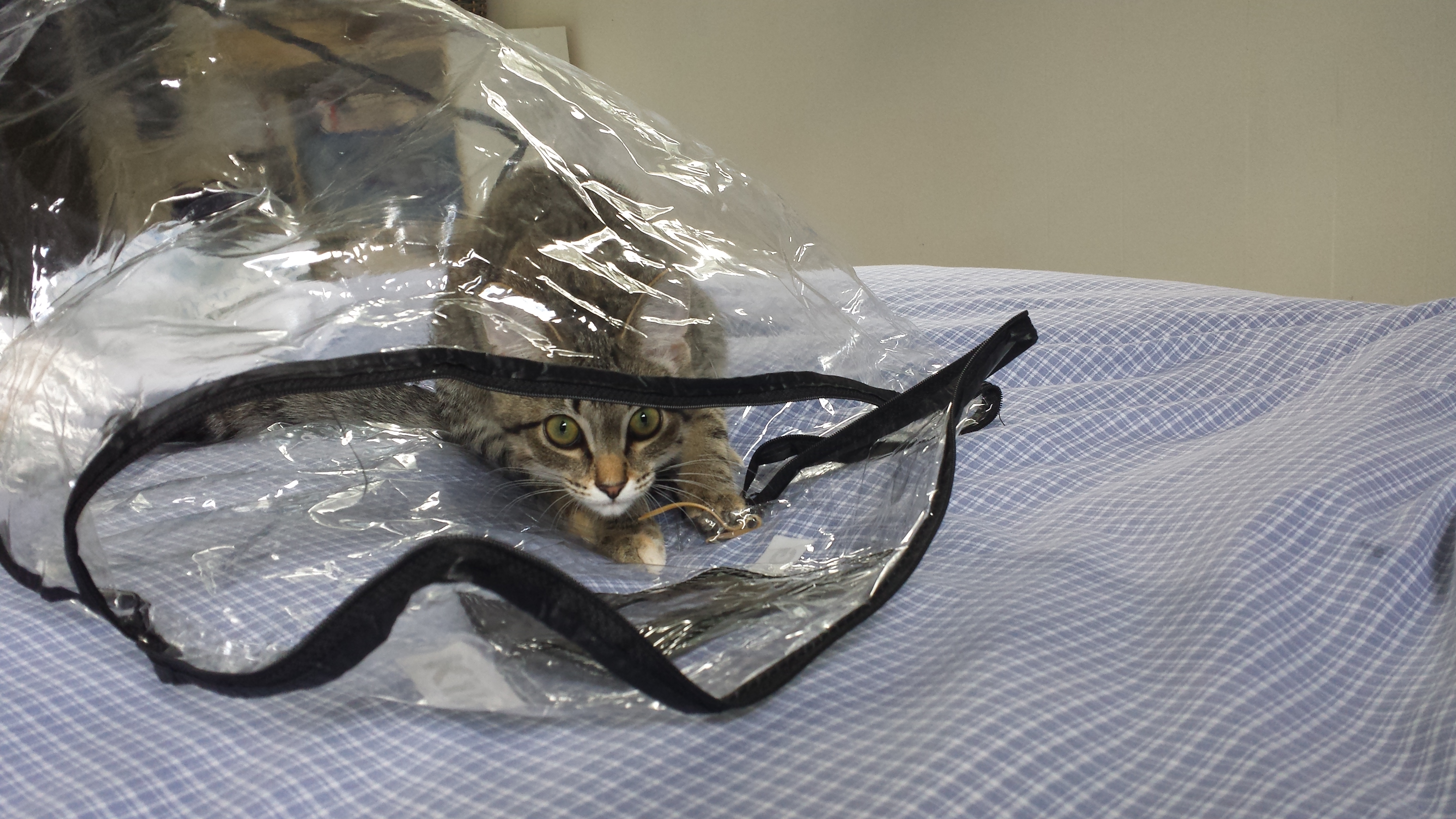 20140930_144232_Android