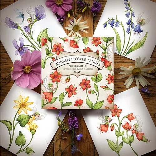 Notecards Box - Forest mix