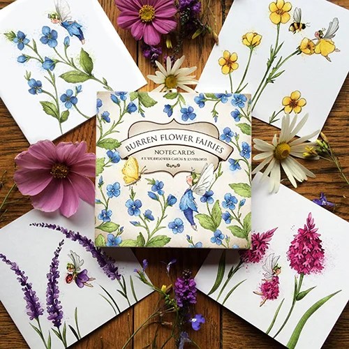 Notecards Box - Germander Speedwell