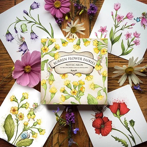 Notecards Box - Cowslip