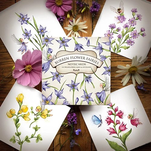 Notecards Box - Blue Eyed Grass