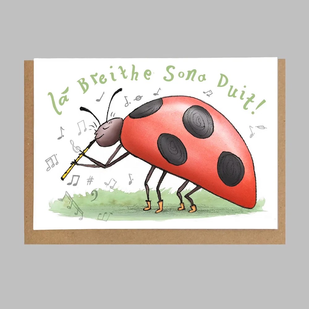 Irish greeting cards - Birthday - Ladybird Mireog