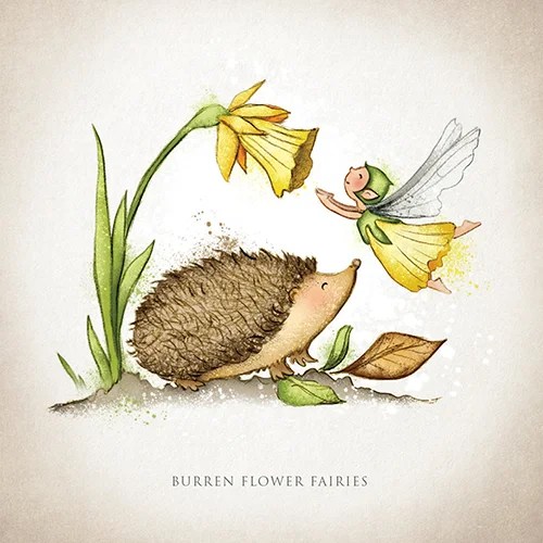 Greeting card - Wildlife - Hedgehog and Daffodil Burren Flower Fairies