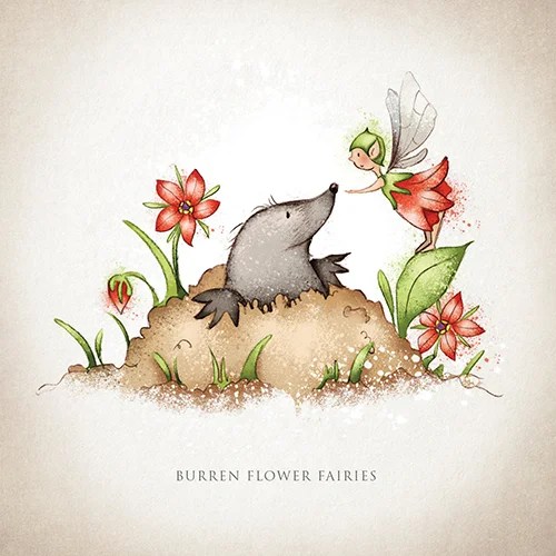 Greeting card - Wildlife - Mole and Scarlet Pimpernel Burren Flower Fairies