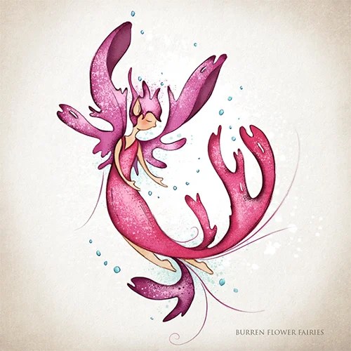 Greeting card - Seaweed - Dillisk