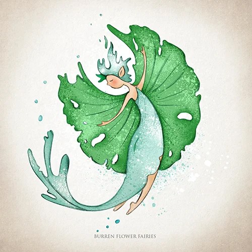 Greeting card - Seaweed - Sea lettuce
