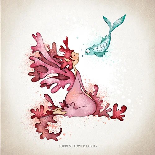 Greeting card - Seaweed - Carrageen