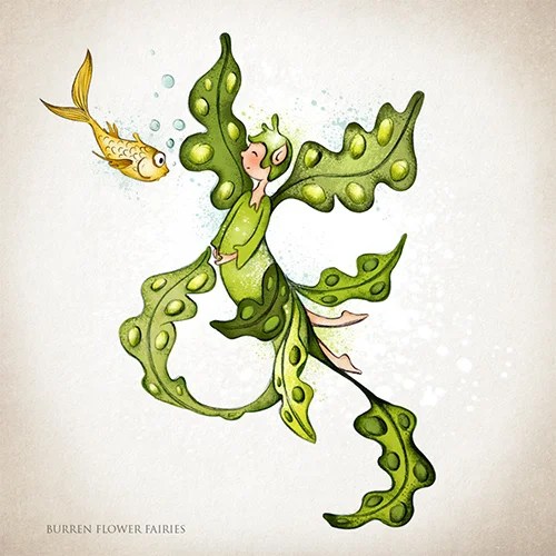 Greeting card - Seaweed - Sea Oak Burren Flower Fairies