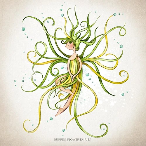 Greeting card - Seaweed - Sea spaghetti Burren Flower Fairies