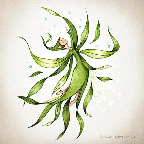 Greeting card - Seaweed - Kelp Burren Flower Fairies