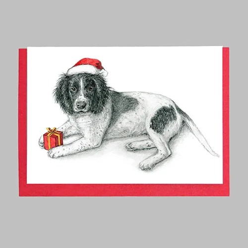 Christmas Greeting card - Mireog