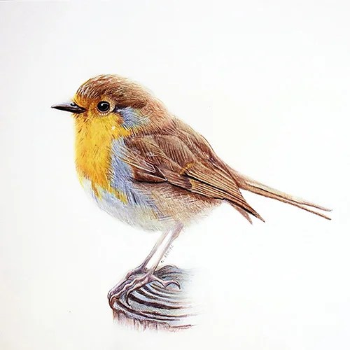 Print - A4 - Robin Small factory of dreams