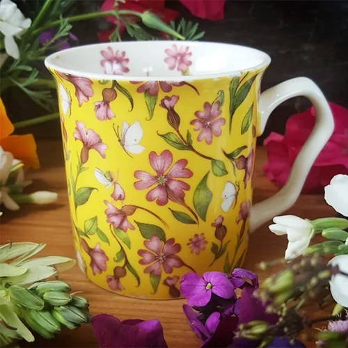 Wildflower Mug - Campion Burren Flower Fairies