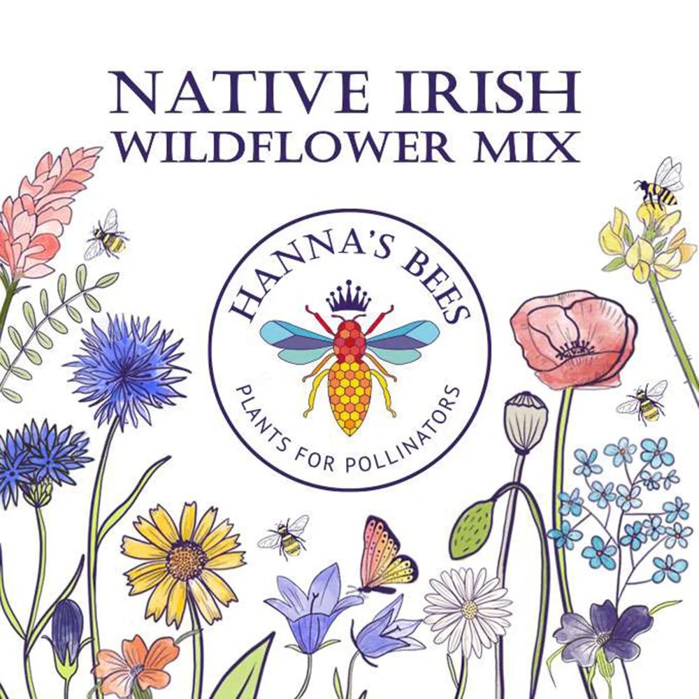 Plants for pollinators - Wildflowers mix - 6g Hanna's bees