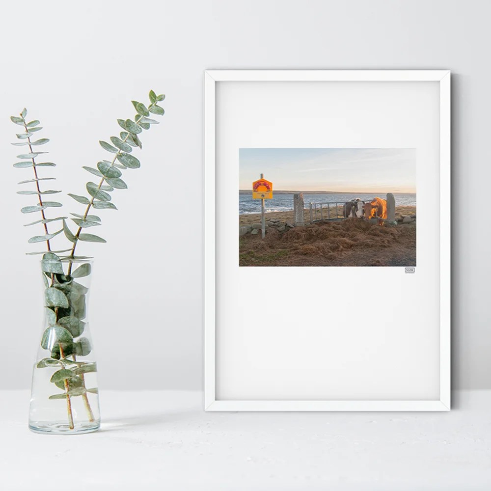 Siar Photography - What view, A4