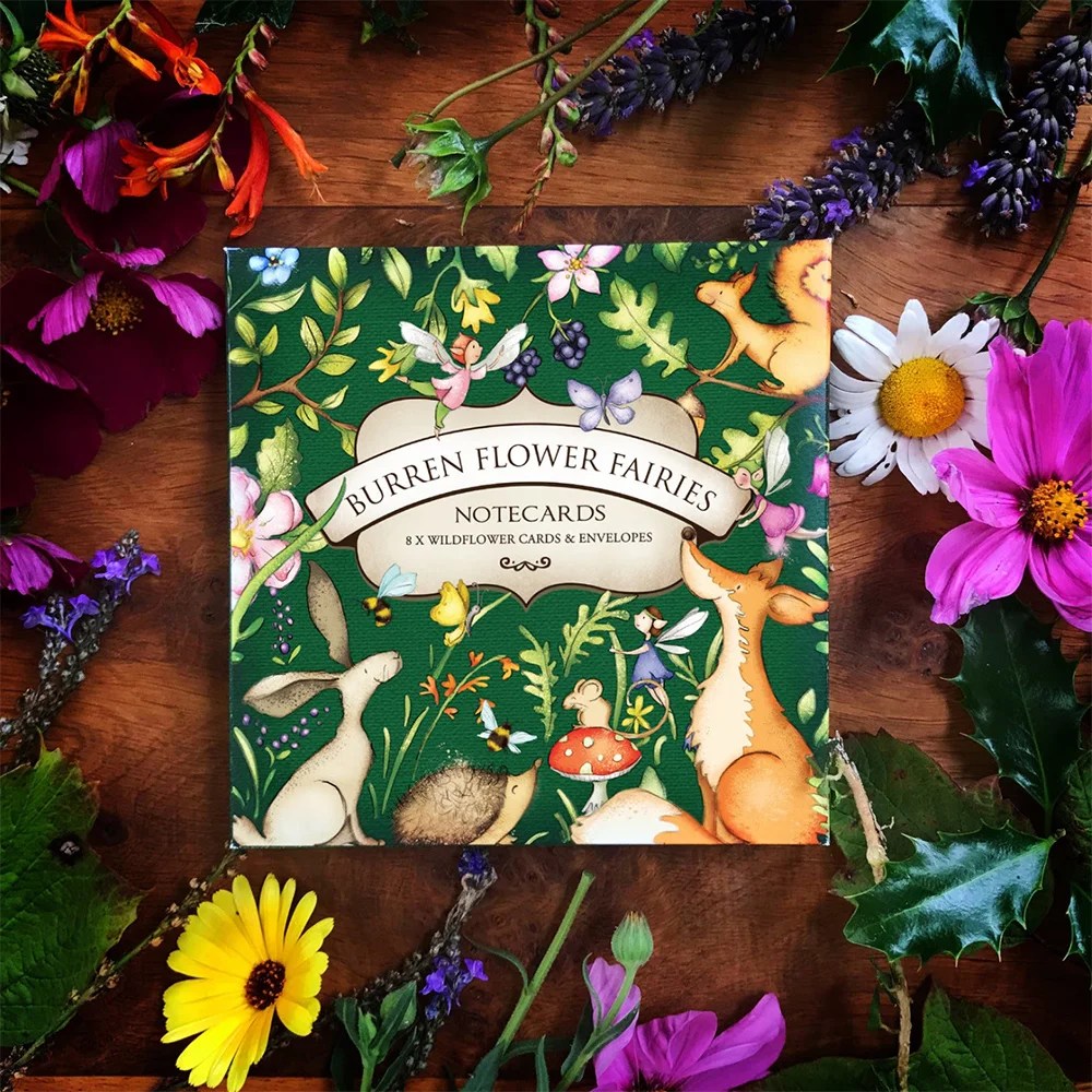 Notecards Boxes - Wildlife Burren Flower Fairies