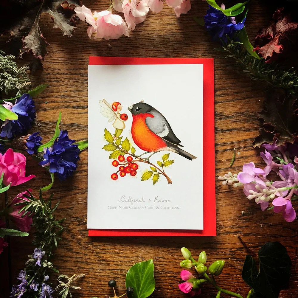 Greeting cards - Wild Birds - Bullfinch & Rowan Burren Flower Fairies