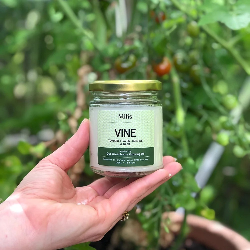 Milis Soy wax scented candle - Vine