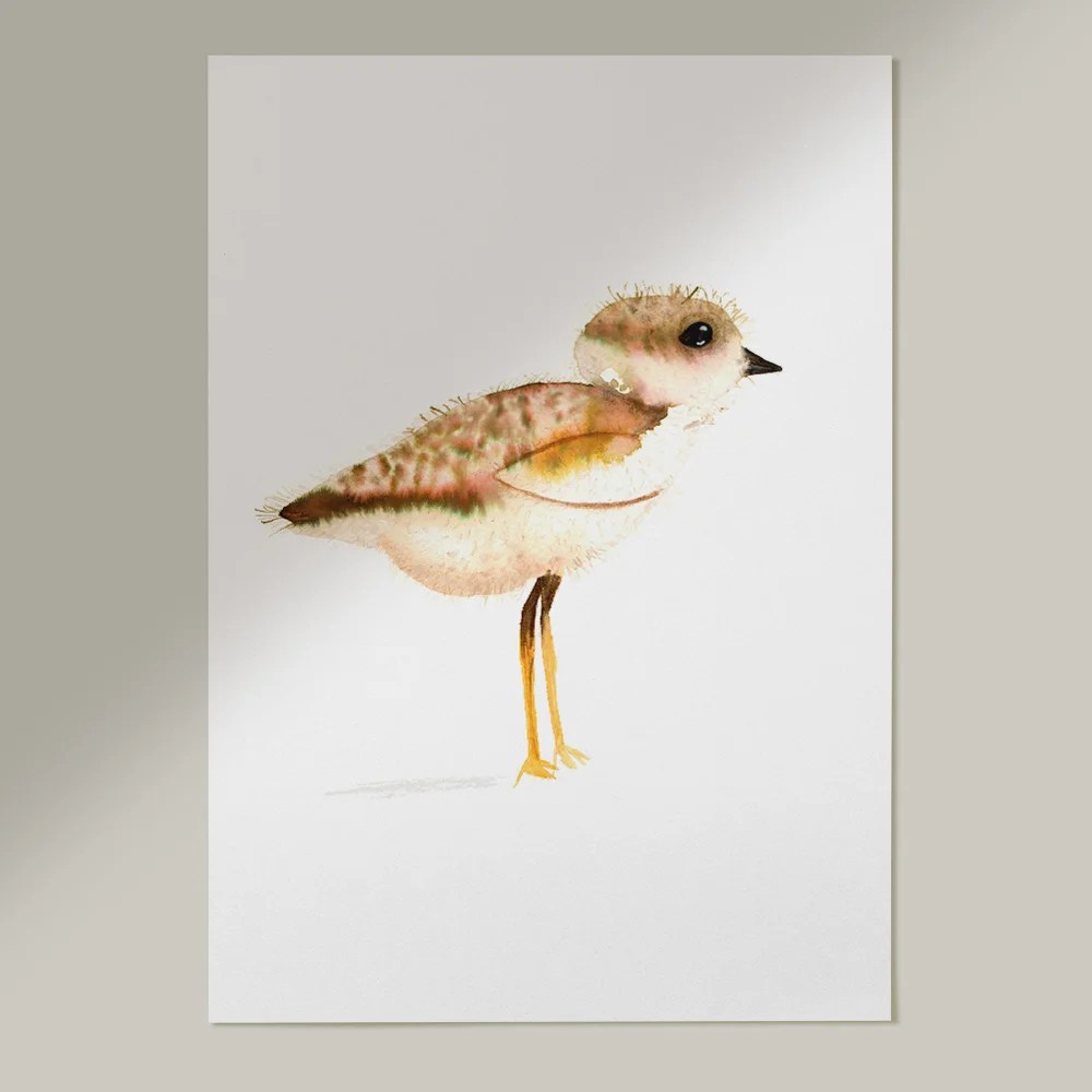 Bird A4 print - Baby Seagull Tiny Studio