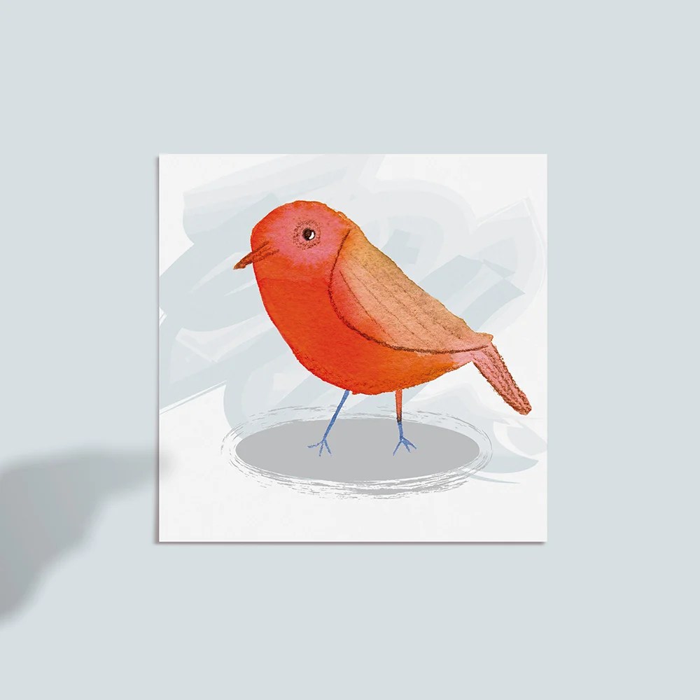 Greeting cards - Birds - Robin Tiny Studio