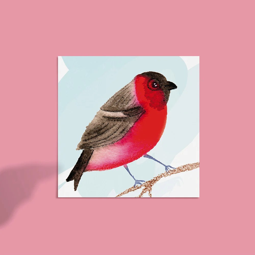Greeting cards - Birds - Bullfinch Tiny Studio