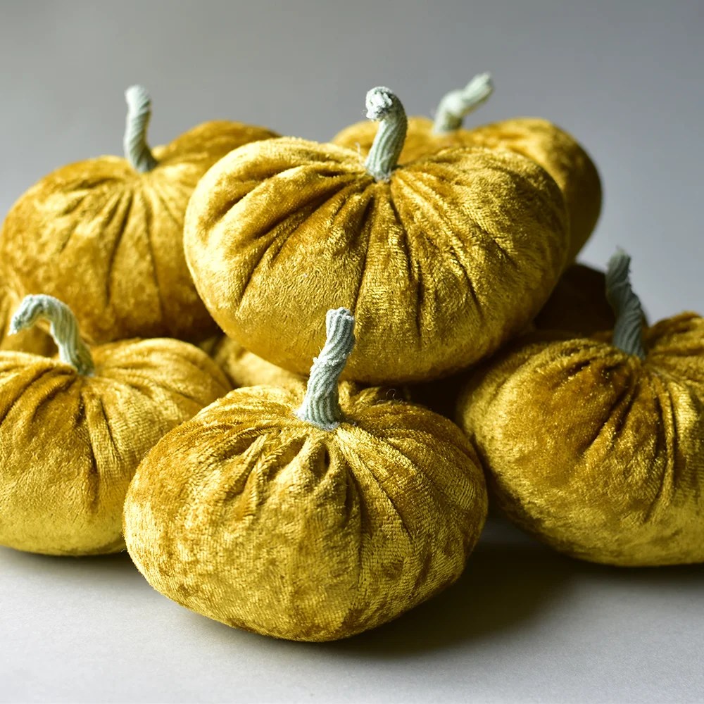 Velvet Pumpkin Small factory of dreams