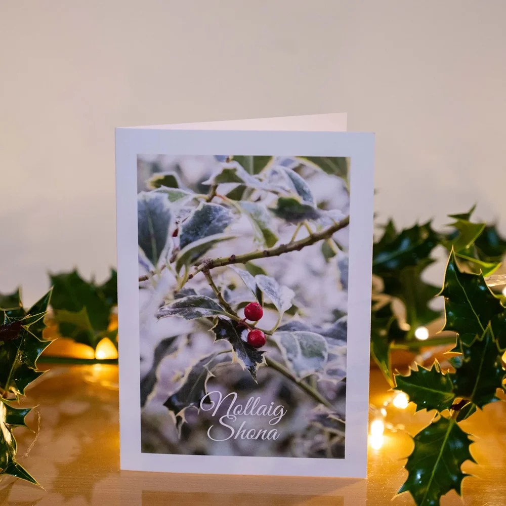 Christmas card - Holly - 5 pack Siar Photography