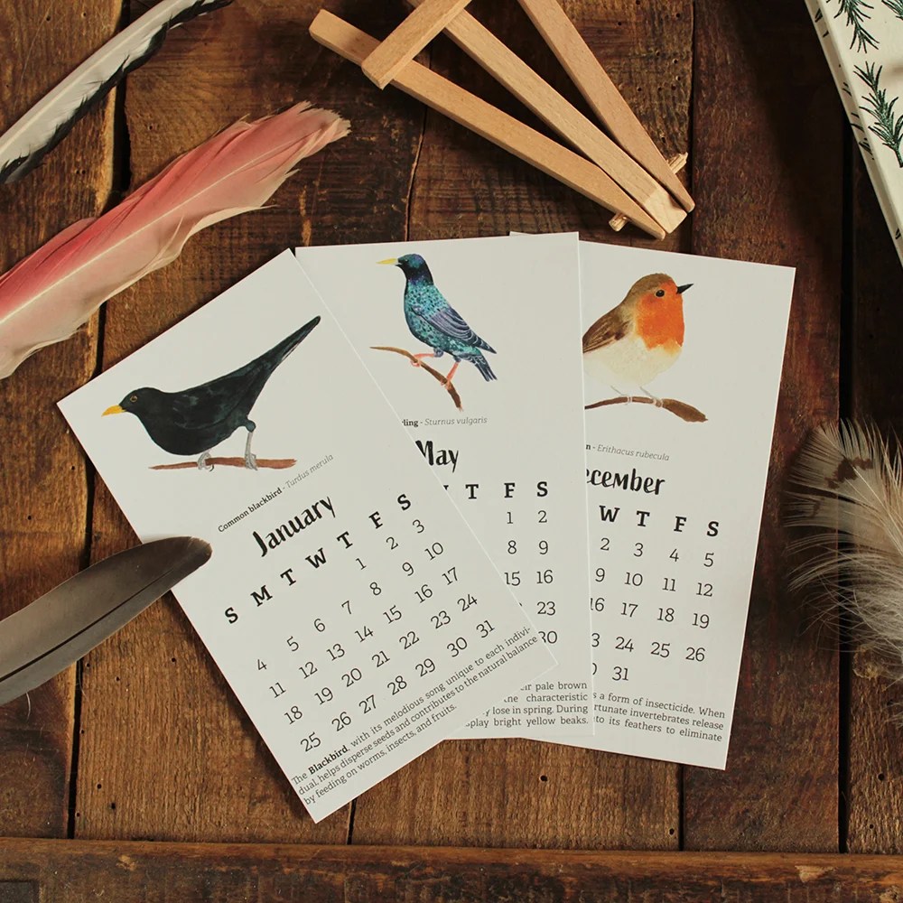 2026 Calendar - The birds in my garden - Birds in my garden Tiny Studio