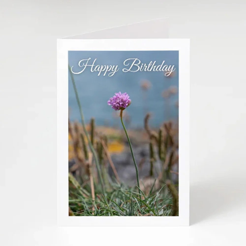 Happy Birthday - Siar Cards - Sea Thrift Siar Photography