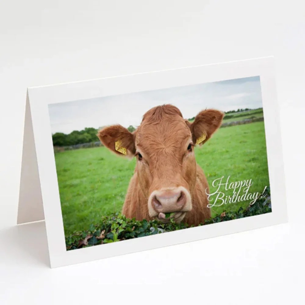 Happy Birthday - Siar Cards - Cow Siar Photography