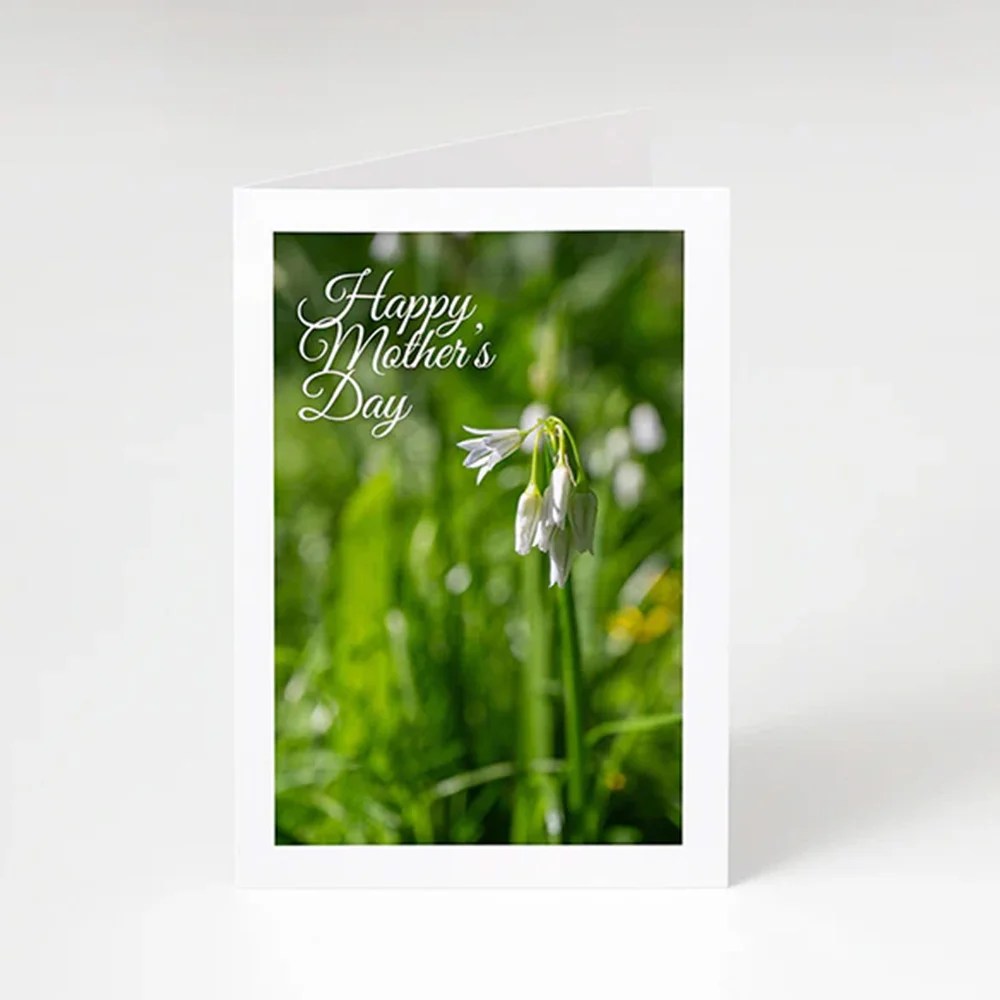 Happy Mother's Day Card