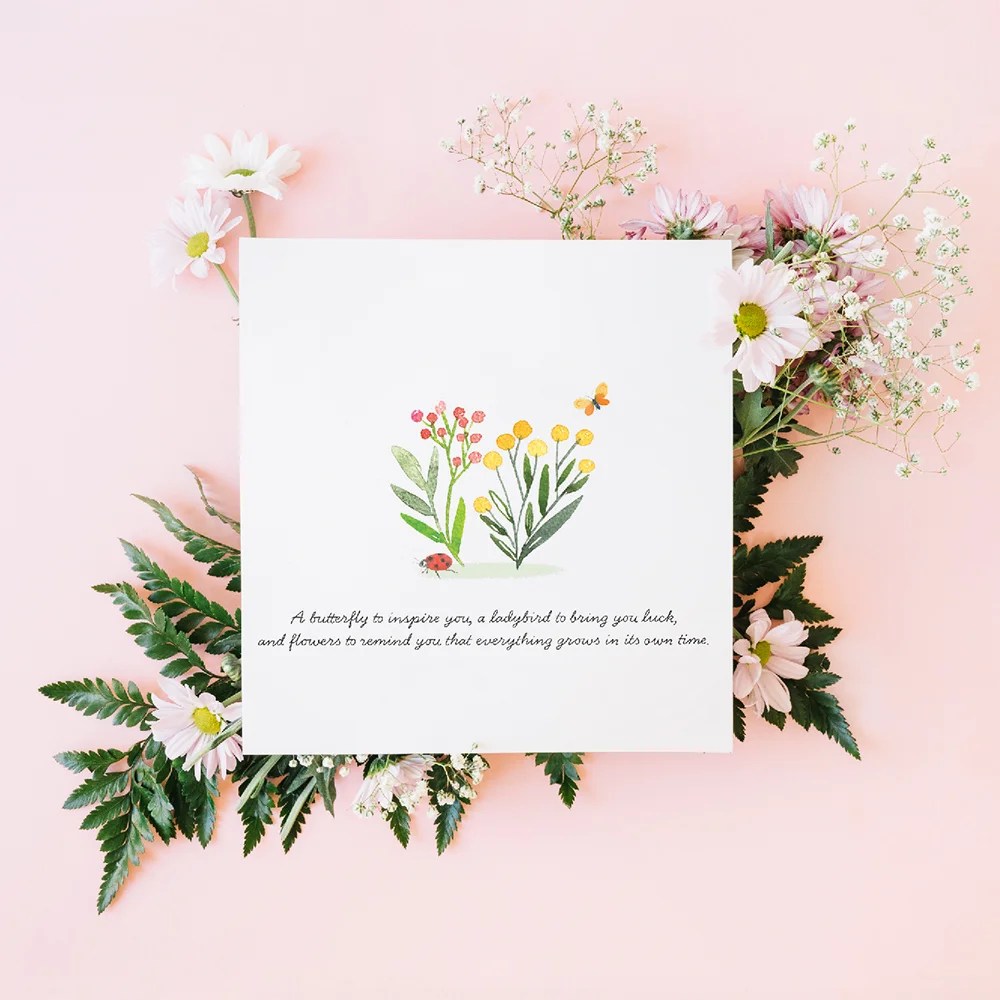 Greeting card - Grows in its own time Tiny Studio