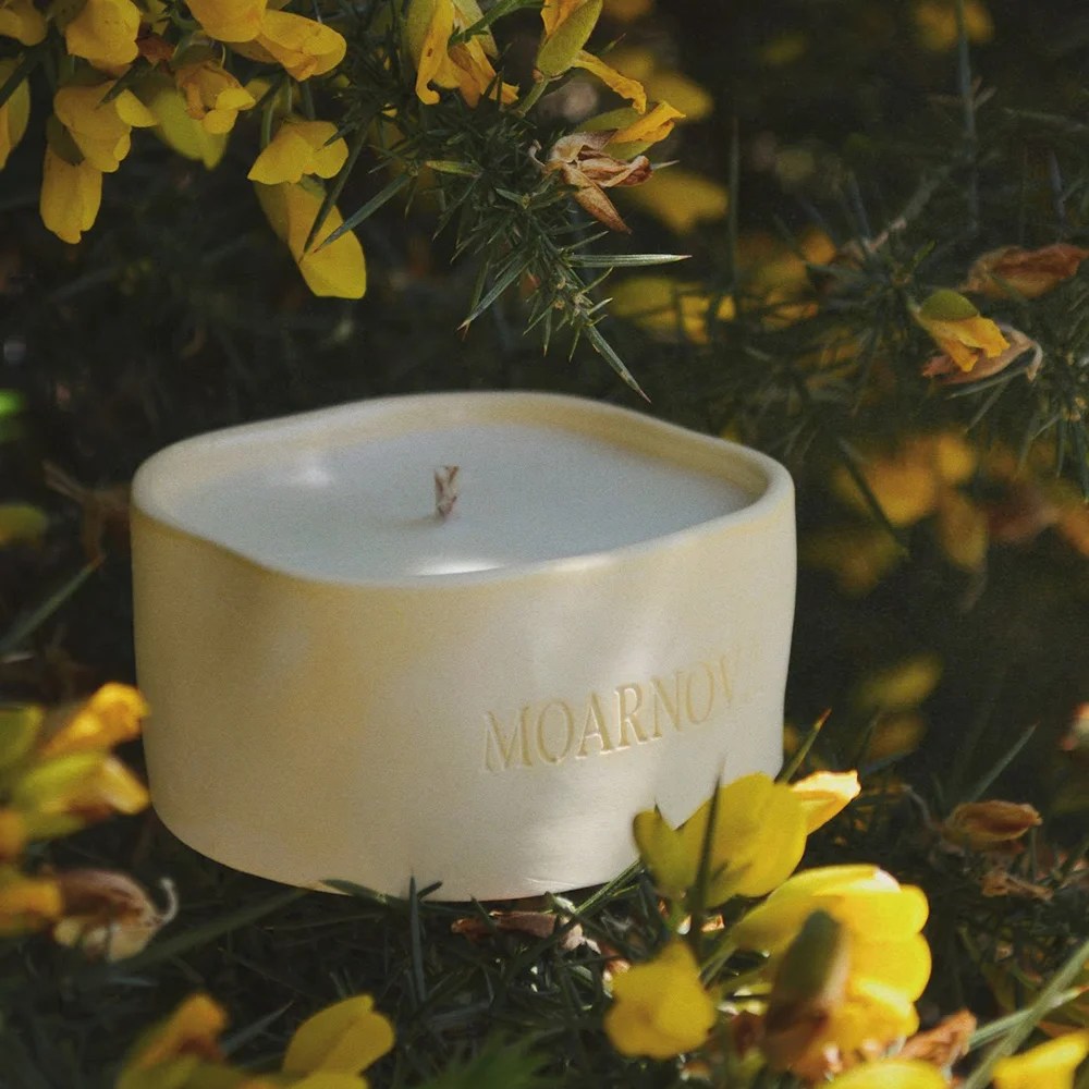 Concrete soy candle - Gorse Moarnova